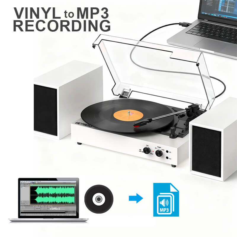 TE-003 Turntable System