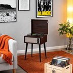 Retro Vinyl Stand Player