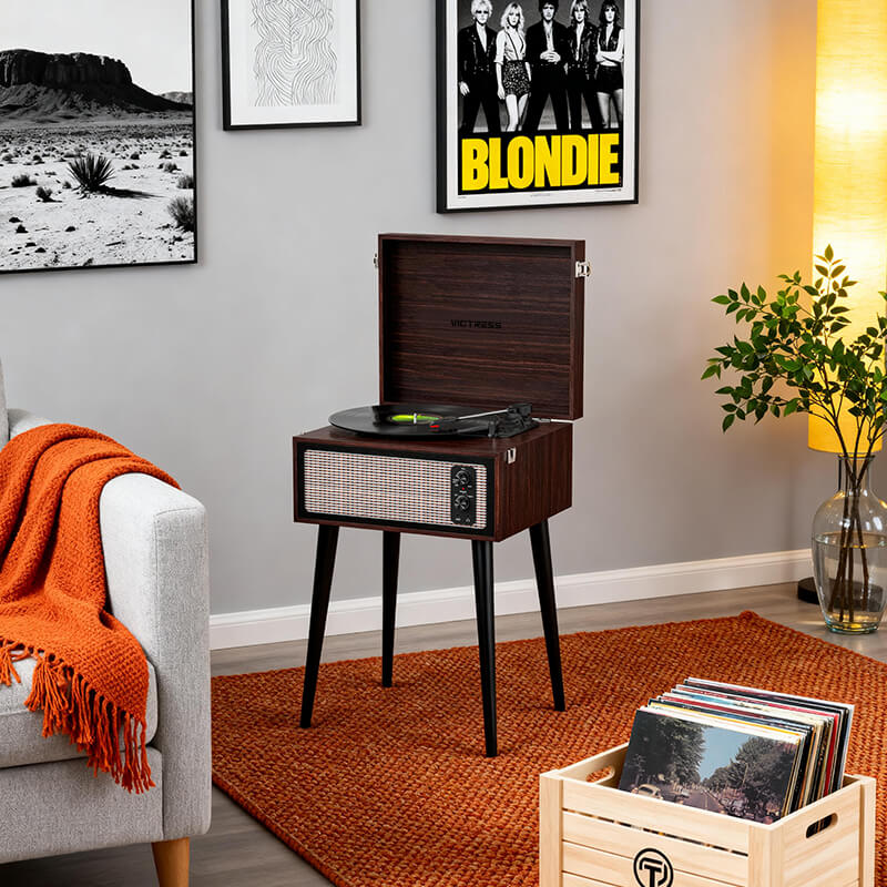 Retro Vinyl Stand Player