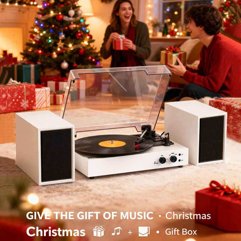 TE-003 Turntable System