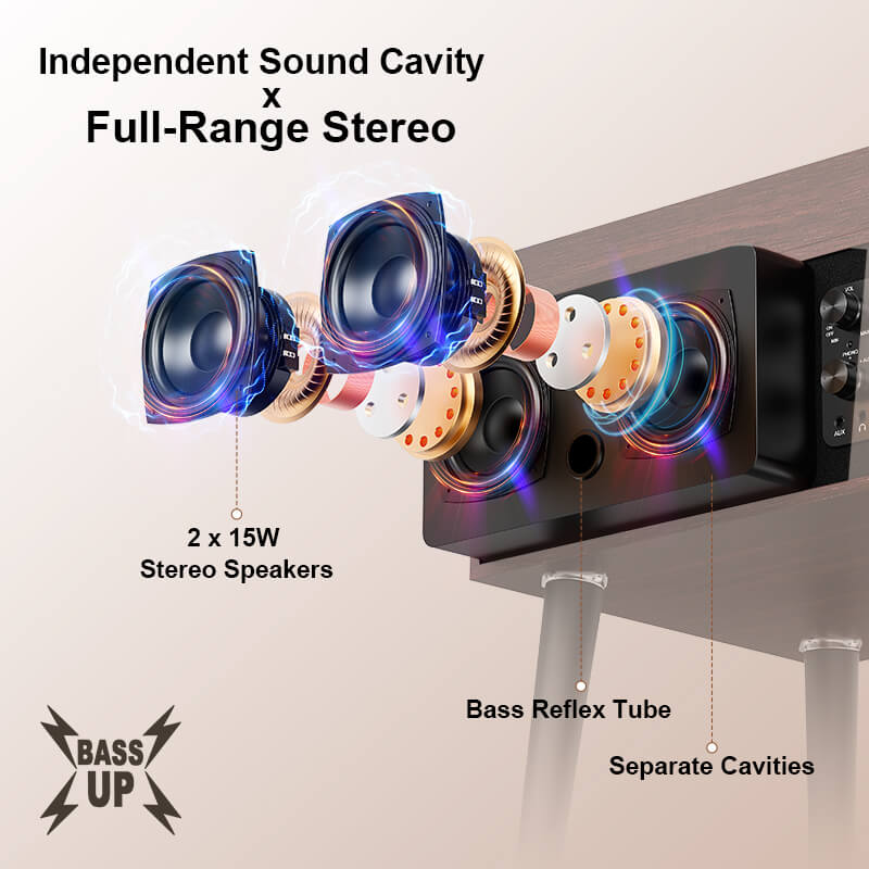 Retro Vinyl Stand Player
