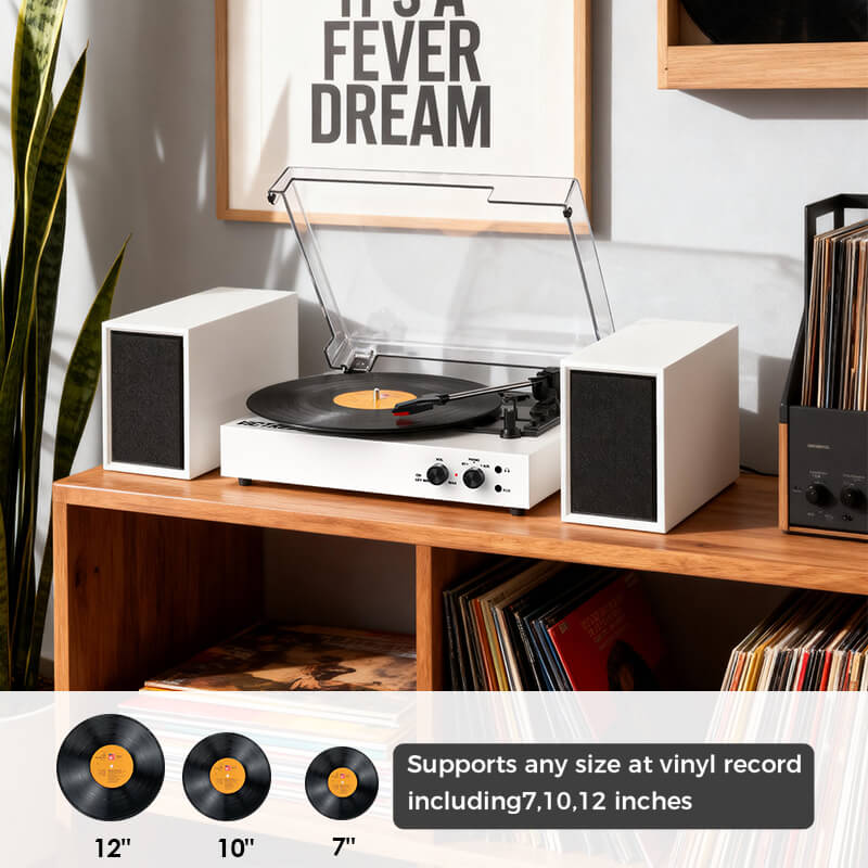 TE-003 Turntable System