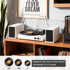 TE-003 Turntable System
