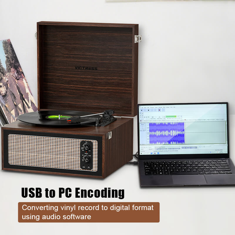 Retro Vinyl Stand Player