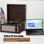Retro Vinyl Stand Player