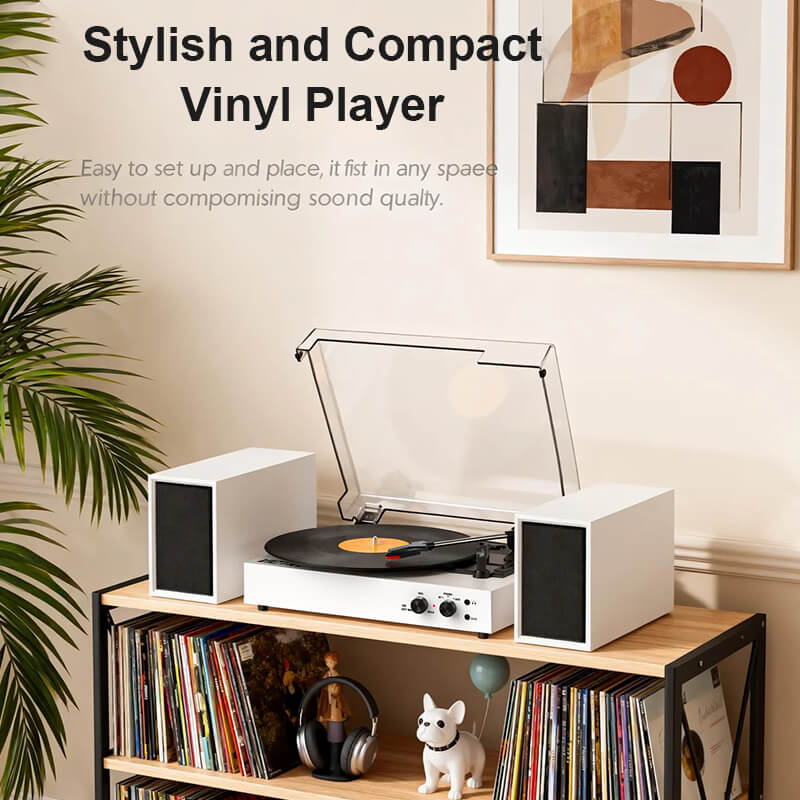 TE-003 Turntable System