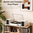 TE-003 Turntable System