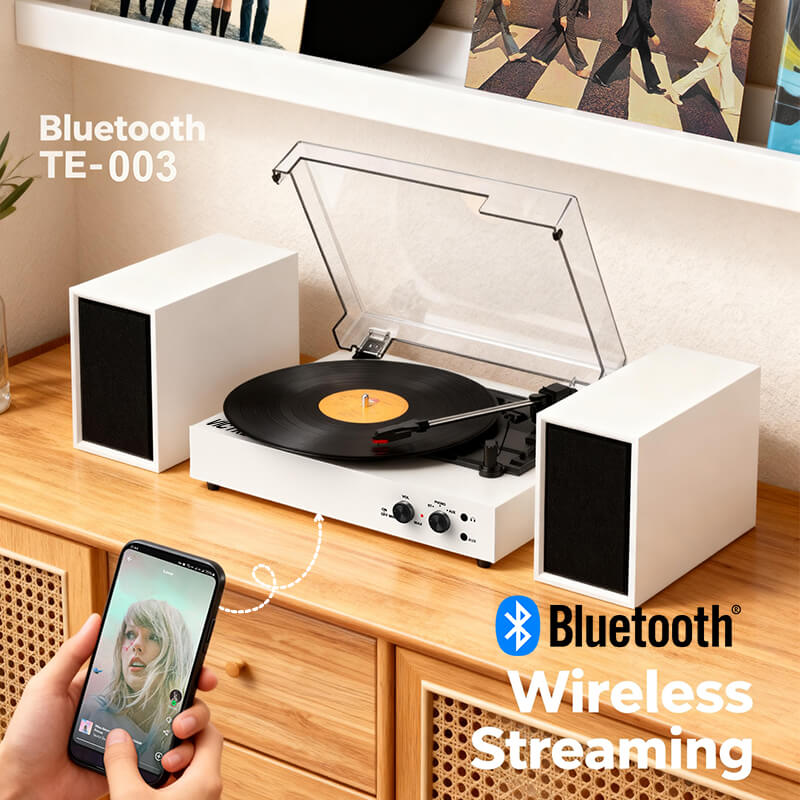 TE-003 Turntable System