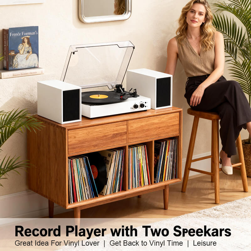 TE-003 Turntable System
