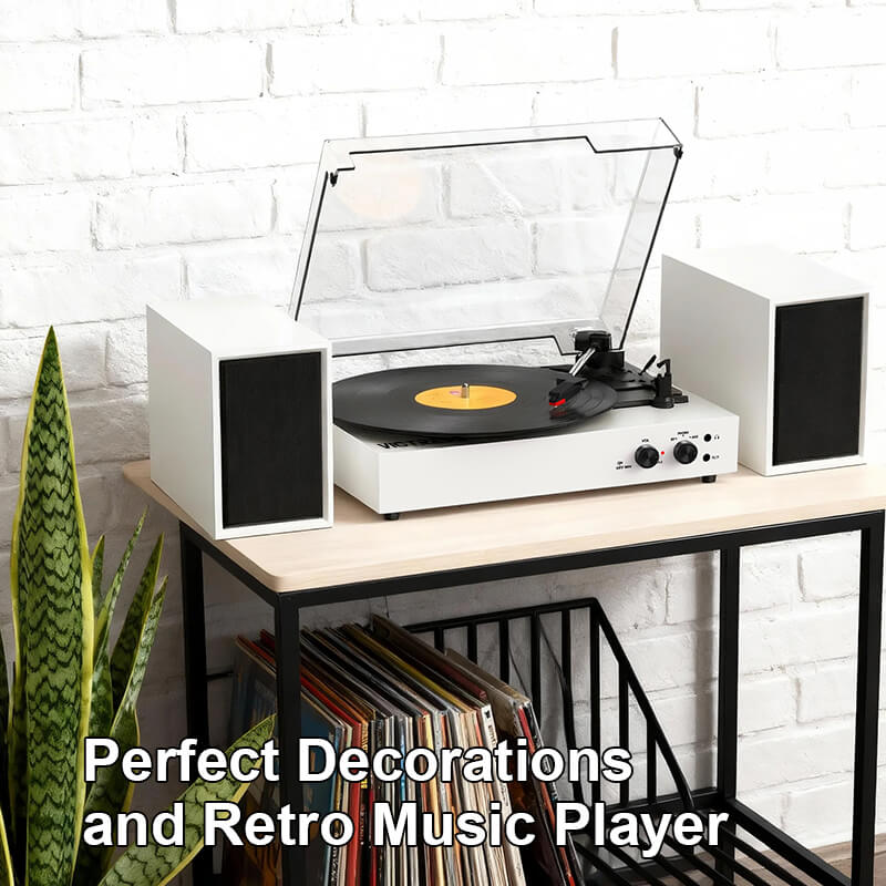 TE-003 Turntable System