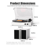 TE-003 Turntable System