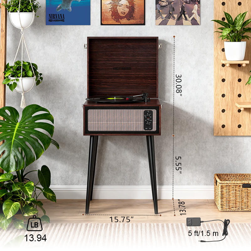 Retro Vinyl Stand Player