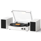 TE-003 Turntable System