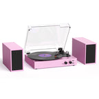 TE-003 Turntable System