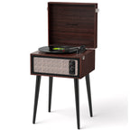 Retro Vinyl Stand Player